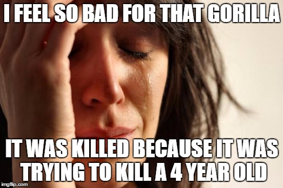 Idiots are like... | I FEEL SO BAD FOR THAT GORILLA; IT WAS KILLED BECAUSE IT WAS TRYING TO KILL A 4 YEAR OLD | image tagged in memes,first world problems,stupidity,gorilla | made w/ Imgflip meme maker