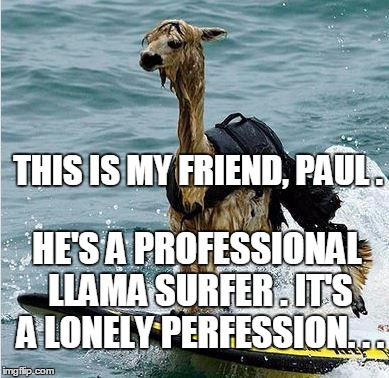 This Llama is surfing | THIS IS MY FRIEND, PAUL . HE'S A PROFESSIONAL LLAMA SURFER . IT'S A LONELY PERFESSION. . . | image tagged in this llama is surfing | made w/ Imgflip meme maker