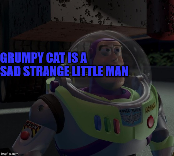 ... | GRUMPY CAT IS A SAD STRANGE LITTLE MAN | made w/ Imgflip meme maker