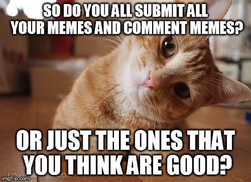 Do you submit all your image memes or just the good ones? |  SO DO YOU ALL SUBMIT ALL YOUR MEMES AND COMMENT MEMES? OR JUST THE ONES THAT YOU THINK ARE GOOD? | image tagged in curious question cat | made w/ Imgflip meme maker