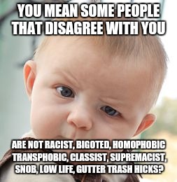 People can have honest differences of opinion | YOU MEAN SOME PEOPLE THAT DISAGREE WITH YOU; ARE NOT RACIST, BIGOTED, HOMOPHOBIC TRANSPHOBIC, CLASSIST, SUPREMACIST, SNOB, LOW LIFE, GUTTER TRASH HICKS? | image tagged in memes,skeptical baby | made w/ Imgflip meme maker