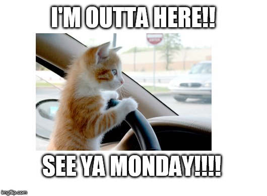 I'M OUTTA HERE!! SEE YA MONDAY!!!! | image tagged in monday,cat,kitten,kitty,driving,weekend | made w/ Imgflip meme maker