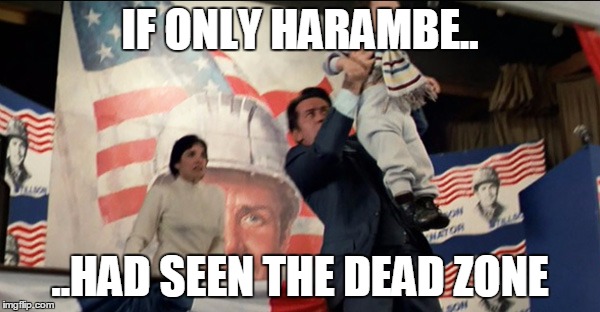 IF ONLY HARAMBE.. ..HAD SEEN THE DEAD ZONE | image tagged in deadzone | made w/ Imgflip meme maker