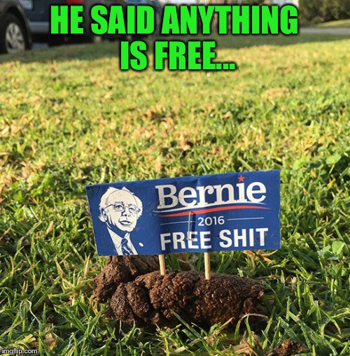 Free is not what you think... | HE SAID ANYTHING IS FREE... | image tagged in bernie,meme,funny,free | made w/ Imgflip meme maker