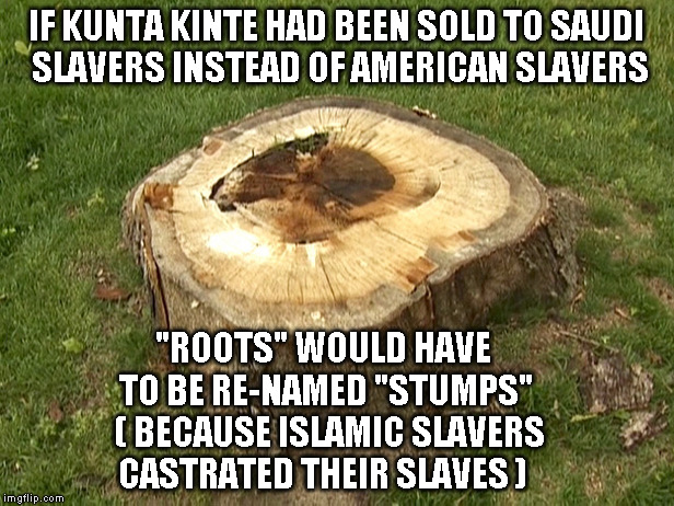 stump | IF KUNTA KINTE HAD BEEN SOLD TO SAUDI SLAVERS INSTEAD OF AMERICAN SLAVERS; "ROOTS" WOULD HAVE TO BE RE-NAMED "STUMPS"  ( BECAUSE ISLAMIC SLAVERS CASTRATED THEIR SLAVES ) | image tagged in stump | made w/ Imgflip meme maker
