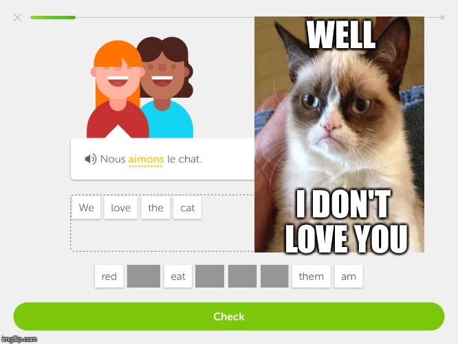 Grumpp  | WELL; I DON'T LOVE YOU | image tagged in grumpy cat | made w/ Imgflip meme maker