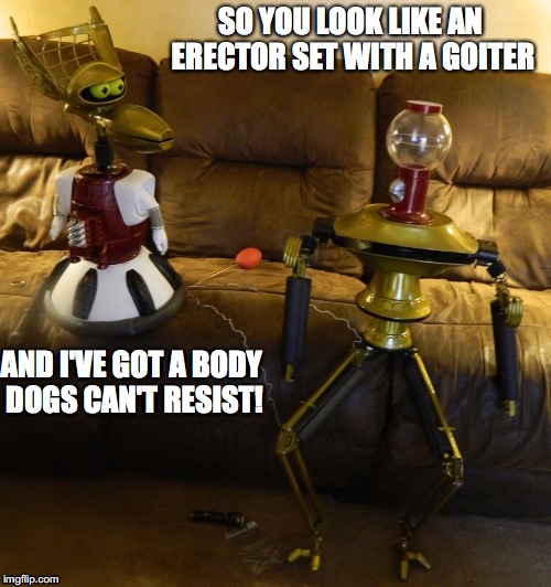 "Servo-Crowation" | SO YOU LOOK LIKE AN ERECTOR SET WITH A GOITER; AND I'VE GOT A BODY DOGS CAN'T RESIST! | image tagged in mystery science theater 3000,shout factory,joel hodgson | made w/ Imgflip meme maker