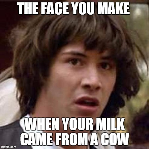 Conspiracy Keanu Meme | THE FACE YOU MAKE; WHEN YOUR MILK CAME FROM A COW | image tagged in memes,conspiracy keanu | made w/ Imgflip meme maker