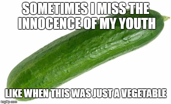 so, sooo long ago! | SOMETIMES I MISS THE INNOCENCE OF MY YOUTH; LIKE WHEN THIS WAS JUST A VEGETABLE | image tagged in cucumber,old days,vegetable | made w/ Imgflip meme maker