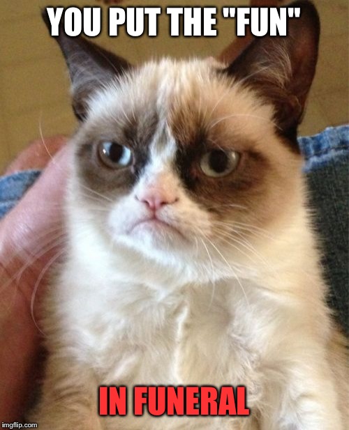 Rumor has it his owner died laughing.. | YOU PUT THE "FUN"; IN FUNERAL | image tagged in memes,grumpy cat,funny,funeral | made w/ Imgflip meme maker