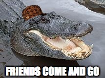 Alligator Wut | FRIENDS COME AND GO | image tagged in alligator wut,scumbag | made w/ Imgflip meme maker