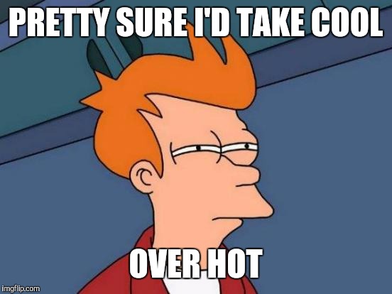 Futurama Fry Meme | PRETTY SURE I'D TAKE COOL OVER HOT | image tagged in memes,futurama fry | made w/ Imgflip meme maker