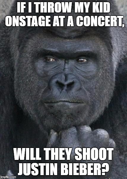 Handsome Gorilla | IF I THROW MY KID ONSTAGE AT A CONCERT, WILL THEY SHOOT JUSTIN BIEBER? | image tagged in handsome gorilla | made w/ Imgflip meme maker
