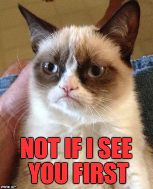 Grumpy Cat Meme | NOT IF I SEE YOU FIRST | image tagged in memes,grumpy cat | made w/ Imgflip meme maker