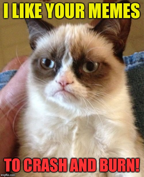 Grumpy Cat Meme | I LIKE YOUR MEMES TO CRASH AND BURN! | image tagged in memes,grumpy cat | made w/ Imgflip meme maker