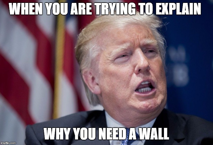 Donald Trump Derp | WHEN YOU ARE TRYING TO EXPLAIN; WHY YOU NEED A WALL | image tagged in donald trump derp | made w/ Imgflip meme maker