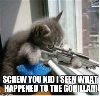 cats with guns | SCREW YOU KID I SEEN WHAT HAPPENED TO THE GORILLA!!! | image tagged in cats with guns | made w/ Imgflip meme maker