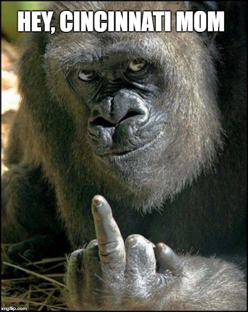 Cincinnati Gorilla | HEY, CINCINNATI MOM | image tagged in gorilla sushi says | made w/ Imgflip meme maker
