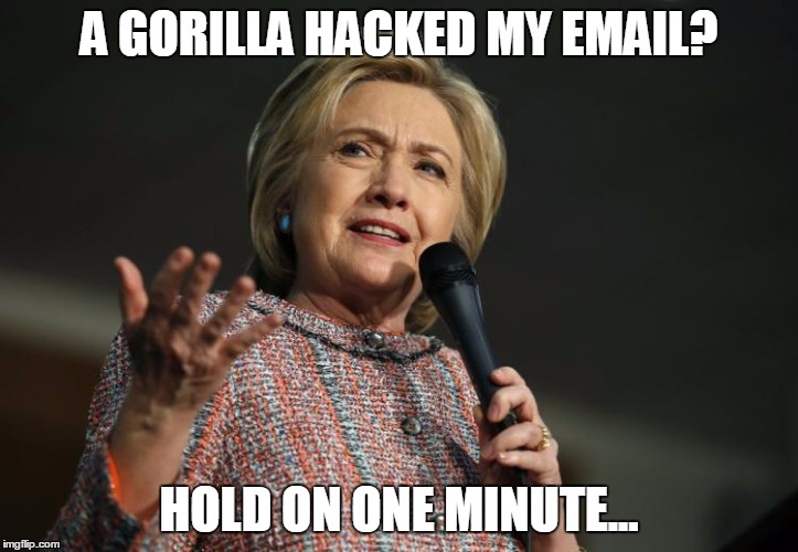 A GORILLA HACKED MY EMAIL? HOLD ON ONE MINUTE... | image tagged in hillary clinton,gorilla,hillary emails | made w/ Imgflip meme maker