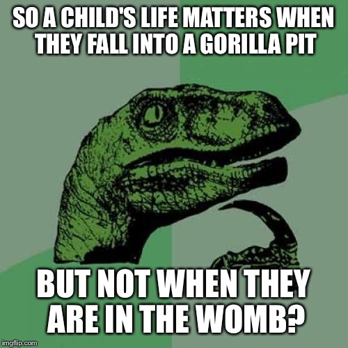 Philosoraptor Meme | SO A CHILD'S LIFE MATTERS WHEN THEY FALL INTO A GORILLA PIT; BUT NOT WHEN THEY ARE IN THE WOMB? | image tagged in memes,philosoraptor | made w/ Imgflip meme maker