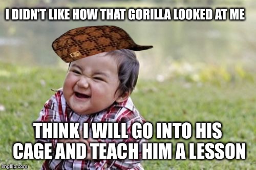 Evil Toddler Meme | I DIDN'T LIKE HOW THAT GORILLA LOOKED AT ME; THINK I WILL GO INTO HIS CAGE AND TEACH HIM A LESSON | image tagged in memes,evil toddler,scumbag | made w/ Imgflip meme maker