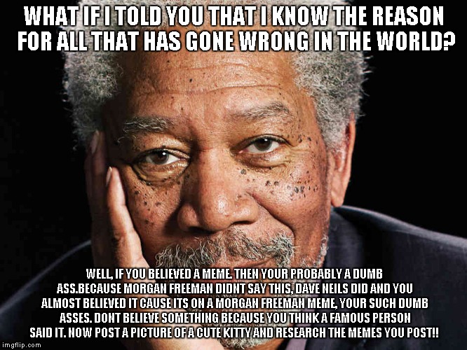 Morgan Freeman | WHAT IF I TOLD YOU THAT I KNOW THE REASON FOR ALL THAT HAS GONE WRONG IN THE WORLD? WELL, IF YOU BELIEVED A MEME. THEN YOUR PROBABLY A DUMB ASS.BECAUSE MORGAN FREEMAN DIDNT SAY THIS, DAVE NEILS DID AND YOU ALMOST BELIEVED IT CAUSE ITS ON A MORGAN FREEMAN MEME, YOUR SUCH DUMB ASSES. DONT BELIEVE SOMETHING BECAUSE YOU THINK A FAMOUS PERSON SAID IT. NOW POST A PICTURE OF A CUTE KITTY AND RESEARCH THE MEMES YOU POST!! | image tagged in morgan freeman | made w/ Imgflip meme maker