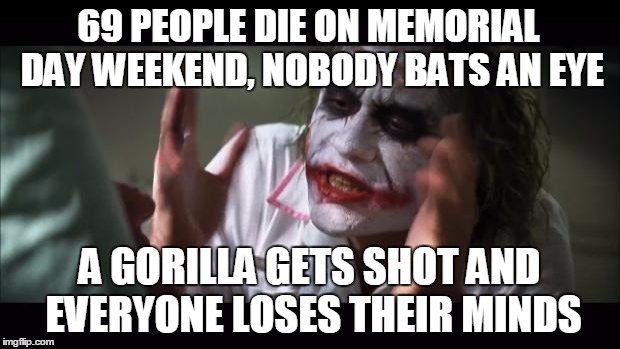 And everybody loses their minds | 69 PEOPLE DIE ON MEMORIAL DAY WEEKEND,
NOBODY BATS AN EYE; A GORILLA GETS SHOT
AND EVERYONE LOSES THEIR MINDS | image tagged in memes,and everybody loses their minds | made w/ Imgflip meme maker