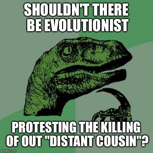 Philosoraptor | SHOULDN'T THERE BE EVOLUTIONIST; PROTESTING THE KILLING OF OUT "DISTANT COUSIN"? | image tagged in memes,philosoraptor | made w/ Imgflip meme maker