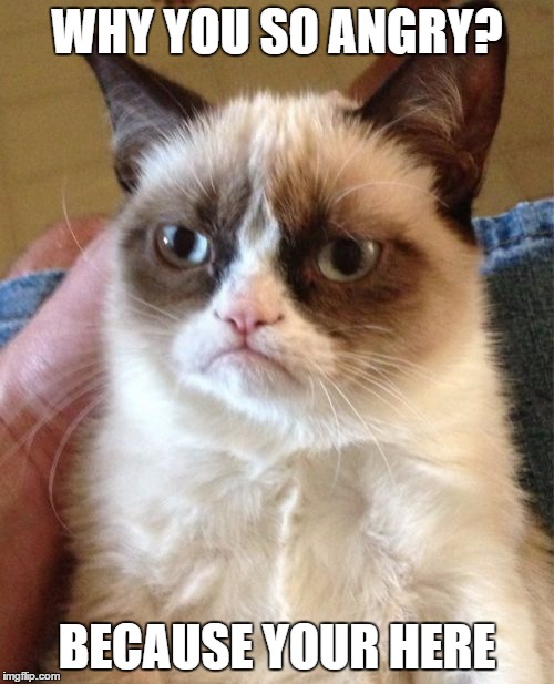 Grumpy Cat Meme | WHY YOU SO ANGRY? BECAUSE YOUR HERE | image tagged in memes,grumpy cat | made w/ Imgflip meme maker