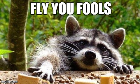FLY YOU FOOLS | image tagged in snack bandit | made w/ Imgflip meme maker