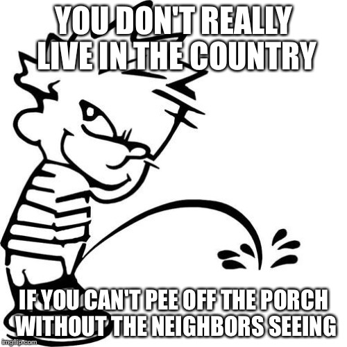 And without getting arrested | YOU DON'T REALLY LIVE IN THE COUNTRY; IF YOU CAN'T PEE OFF THE PORCH WITHOUT THE NEIGHBORS SEEING | image tagged in calvin peeing | made w/ Imgflip meme maker