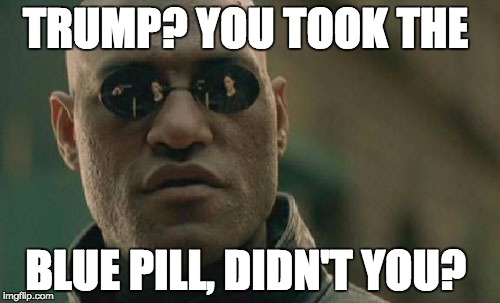 Matrix Morpheus | TRUMP? YOU TOOK THE; BLUE PILL, DIDN'T YOU? | image tagged in memes,matrix morpheus | made w/ Imgflip meme maker