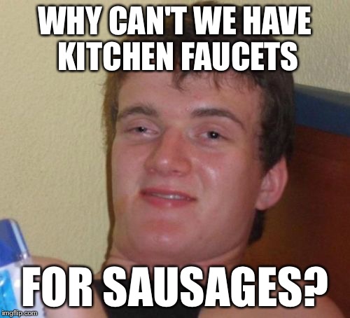 10 Guy Meme | WHY CAN'T WE HAVE KITCHEN FAUCETS; FOR SAUSAGES? | image tagged in memes,10 guy | made w/ Imgflip meme maker