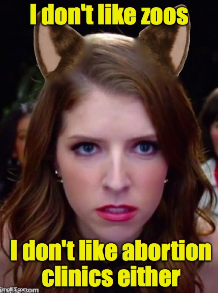 Grumpy Anna | I don't like zoos I don't like abortion clinics either | image tagged in grumpy anna | made w/ Imgflip meme maker