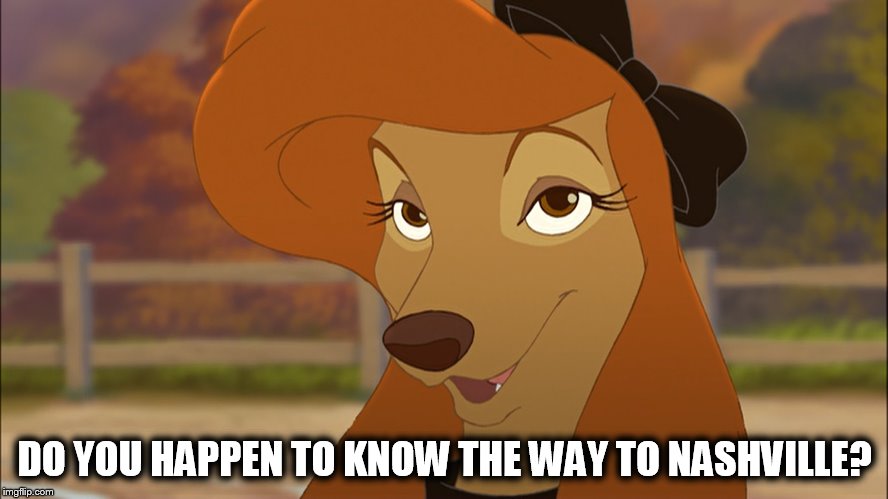 Do You Happen To Know The Way To Nashville? | DO YOU HAPPEN TO KNOW THE WAY TO NASHVILLE? | image tagged in dixie smiling,memes,disney,the fox and the hound 2,reba mcentire,dog | made w/ Imgflip meme maker