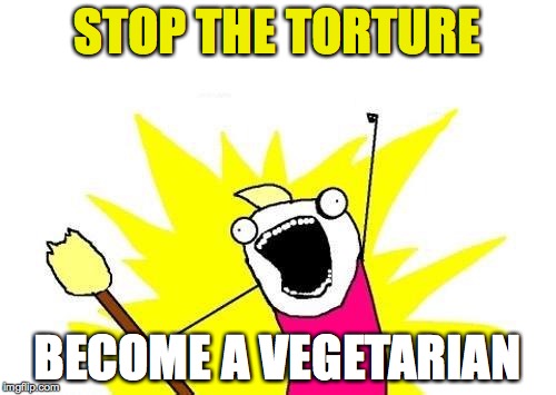 X All The Y Meme | STOP THE TORTURE BECOME A VEGETARIAN | image tagged in memes,x all the y | made w/ Imgflip meme maker