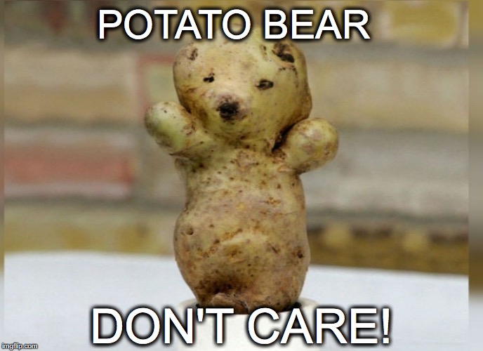 Let the chips fall where they may... | POTATO BEAR; DON'T CARE! | image tagged in janey mack meme,potato bear don't care,potato,weird,funny,bear | made w/ Imgflip meme maker