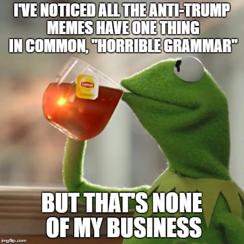 But That's None Of My Business Meme | I'VE NOTICED ALL THE ANTI-TRUMP MEMES HAVE ONE THING IN COMMON, "HORRIBLE GRAMMAR" BUT THAT'S NONE OF MY BUSINESS | image tagged in memes,but thats none of my business,kermit the frog | made w/ Imgflip meme maker