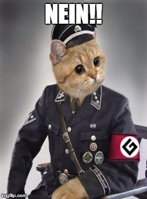 NEIN!! | made w/ Imgflip meme maker