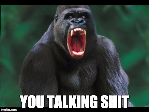 YOU TALKING SHIT | image tagged in gorilla mad | made w/ Imgflip meme maker