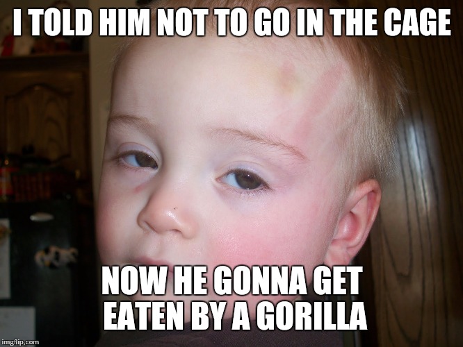 Baby 10 guy high on life | I TOLD HIM NOT TO GO IN THE CAGE; NOW HE GONNA GET EATEN BY A GORILLA | image tagged in funny,funny memes,memeamander,10guy,memes | made w/ Imgflip meme maker