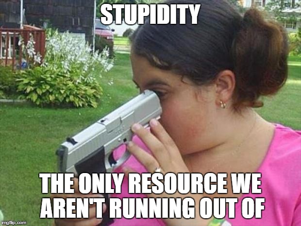 STUPIDITY; THE ONLY RESOURCE WE AREN'T RUNNING OUT OF | image tagged in stupidity | made w/ Imgflip meme maker