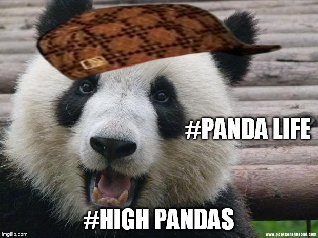 Happy Panda | #PANDA LIFE; #HIGH PANDAS | image tagged in happy panda,scumbag | made w/ Imgflip meme maker