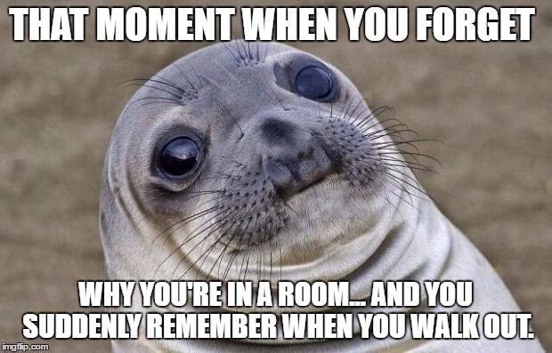 Awkward Moment Sealion | THAT MOMENT WHEN YOU FORGET; WHY YOU'RE IN A ROOM... AND YOU SUDDENLY REMEMBER WHEN YOU WALK OUT. | image tagged in memes,awkward moment sealion | made w/ Imgflip meme maker