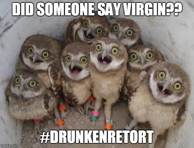 Excited Owls | DID SOMEONE SAY VIRGIN?? #DRUNKENRETORT | image tagged in excited owls | made w/ Imgflip meme maker
