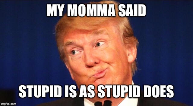 MY MOMMA SAID STUPID IS AS STUPID DOES | made w/ Imgflip meme maker