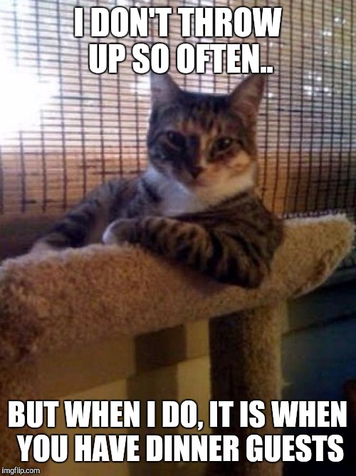 The Most Interesting Cat In The World Meme | I DON'T THROW UP SO OFTEN.. BUT WHEN I DO, IT IS WHEN YOU HAVE DINNER GUESTS | image tagged in memes,the most interesting cat in the world | made w/ Imgflip meme maker