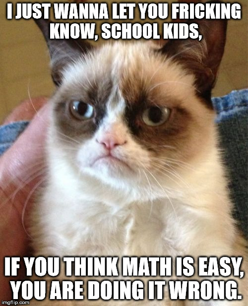 Grumpy Cat Meme | I JUST WANNA LET YOU FRICKING KNOW, SCHOOL KIDS, IF YOU THINK MATH IS EASY, YOU ARE DOING IT WRONG. | image tagged in memes,grumpy cat | made w/ Imgflip meme maker