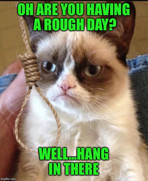 Grumpy cat does care | OH ARE YOU HAVING A ROUGH DAY? WELL...HANG IN THERE | image tagged in grumpy cat,memes,funny,noose | made w/ Imgflip meme maker
