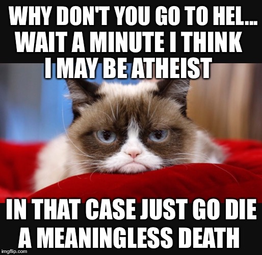 Atheists have a sense of humor too | WHY DON'T YOU GO TO HEL... WAIT A MINUTE I THINK I MAY BE ATHEIST; IN THAT CASE JUST GO DIE; A MEANINGLESS DEATH | image tagged in grumpy cat,memes,hell,funny,atheist | made w/ Imgflip meme maker